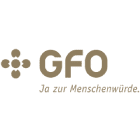 Logo Vision GFO
